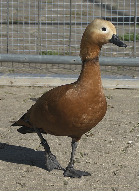 逐梦赛场