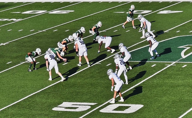 它们将继续 它们将继续