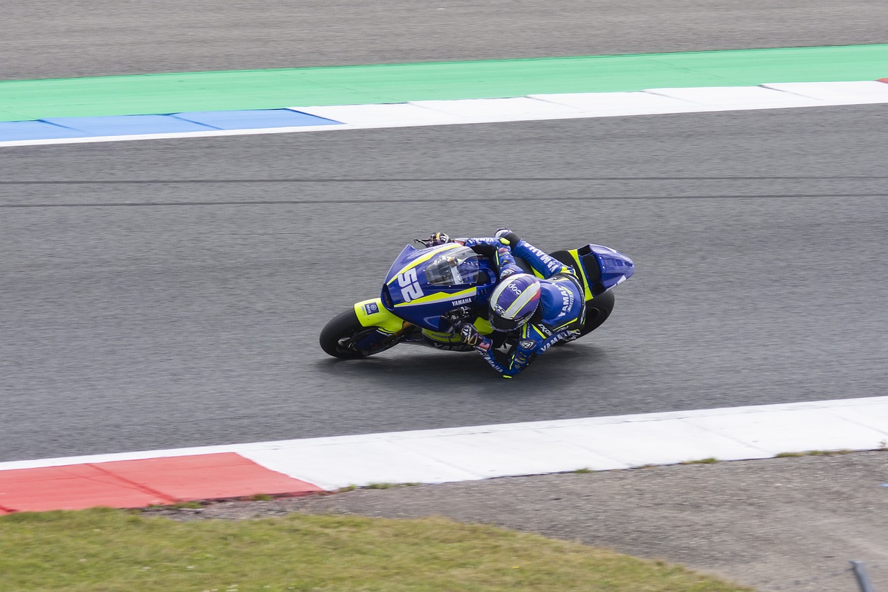 在制定自身 在制定自身