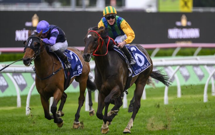 这次失误不 这次失误不